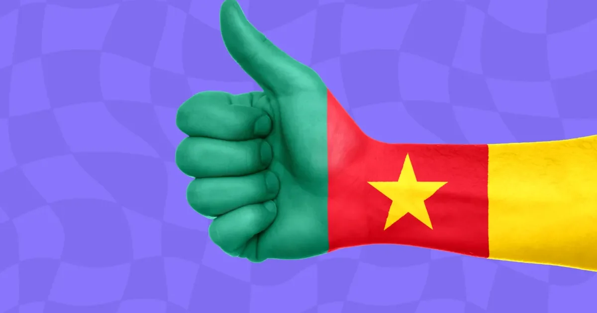 Drapeau du Cameroun : appels d'offres au Cameroun