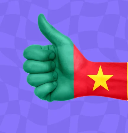 Drapeau du Cameroun : appels d'offres au Cameroun
