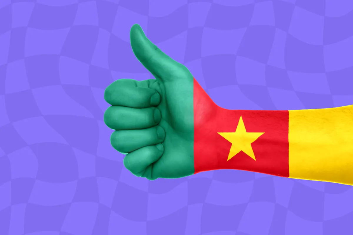 Drapeau du Cameroun : appels d'offres au Cameroun