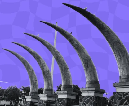 Drapeau de la Côte d'Ivoire : appels d'offres en Côte d'Ivoire